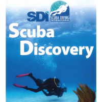 Scuba discovery