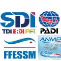 Sdi padi ffessm anmp 1