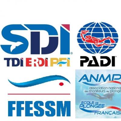 Sdi padi ffessm anmp 1