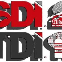 Sditdi logo2